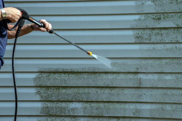 Best Gutter Cleaning  in Maine, WI